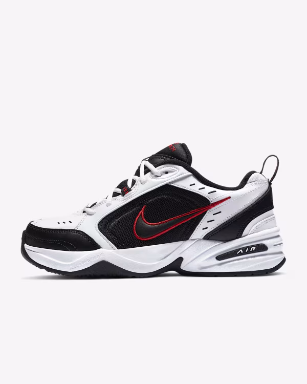 Air-Monarch-IV