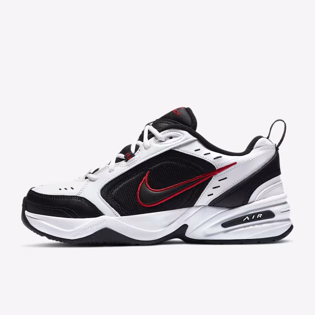 Air-Monarch-IV
