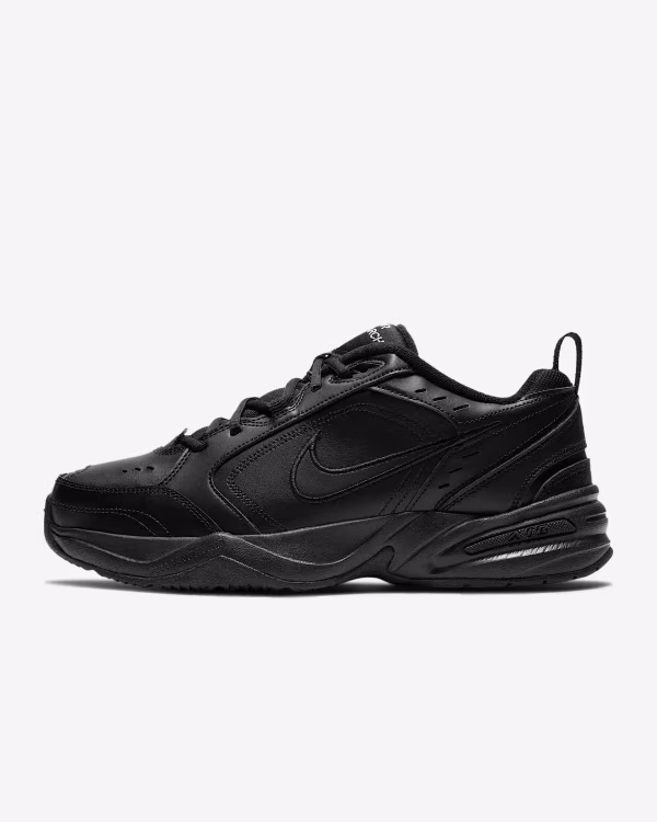 Air-Monarch-IV