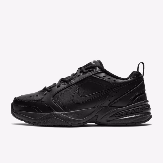 Air-Monarch-IV