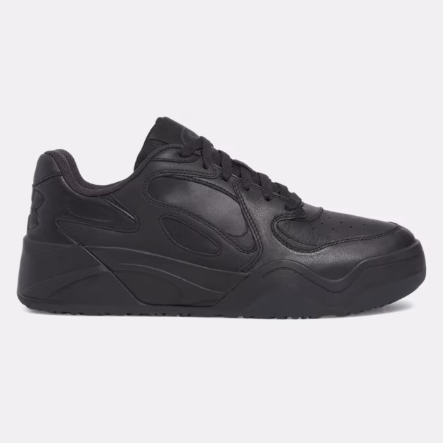 Court-Anatomix
