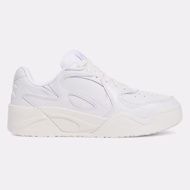 Court-Anatomix