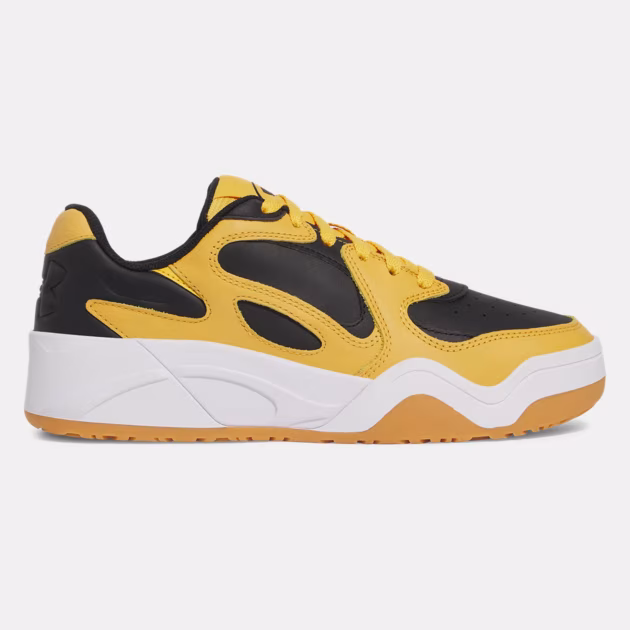 Court-Anatomix